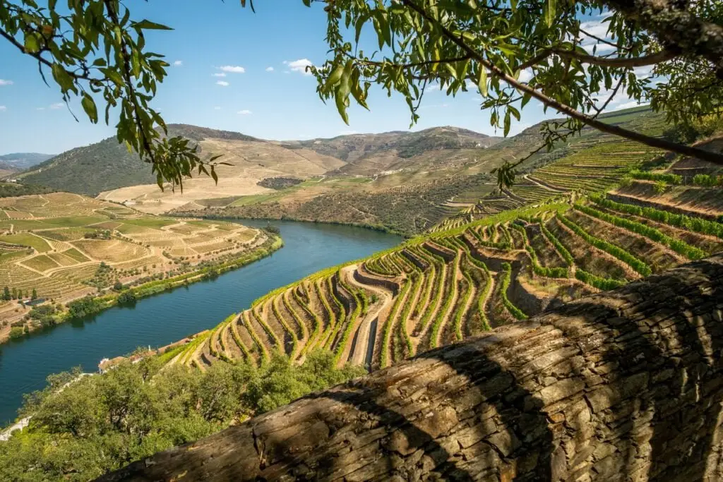 Douro Valley photography showing vineyards and the river. One of the regions covered by COME Surprise Surprise! Food Tour